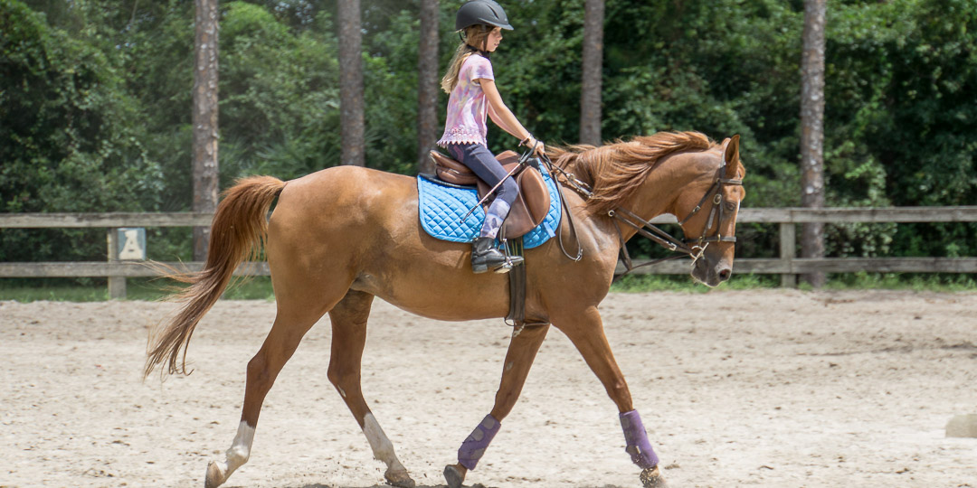  The Riding Club
